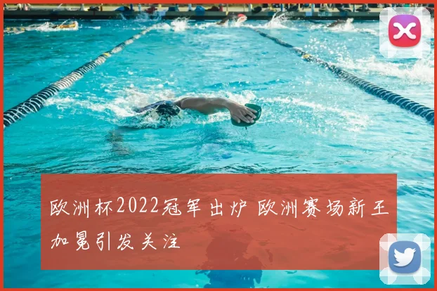 欧洲杯2022冠军出炉 欧洲赛场新王加冕引发关注