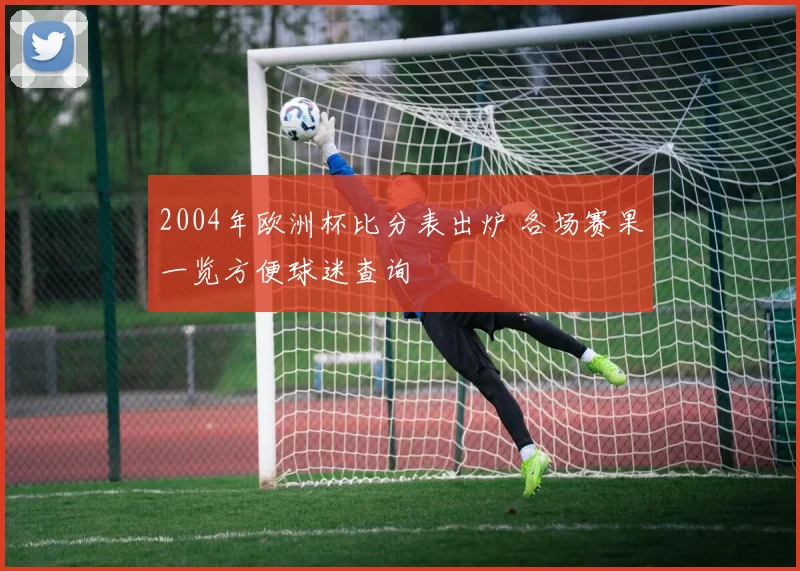 2004年欧洲杯比分表出炉 各场赛果一览方便球迷查询