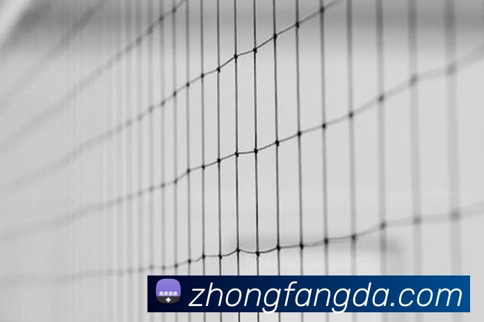 奖项2